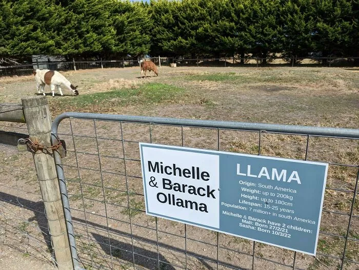 Visited A Farm In Australia With A Good Sense Of Humour
