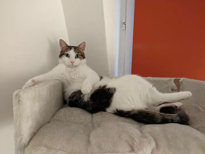 Moka Has Perfected The "Draw Me Like One Of Your French Girls" Pose