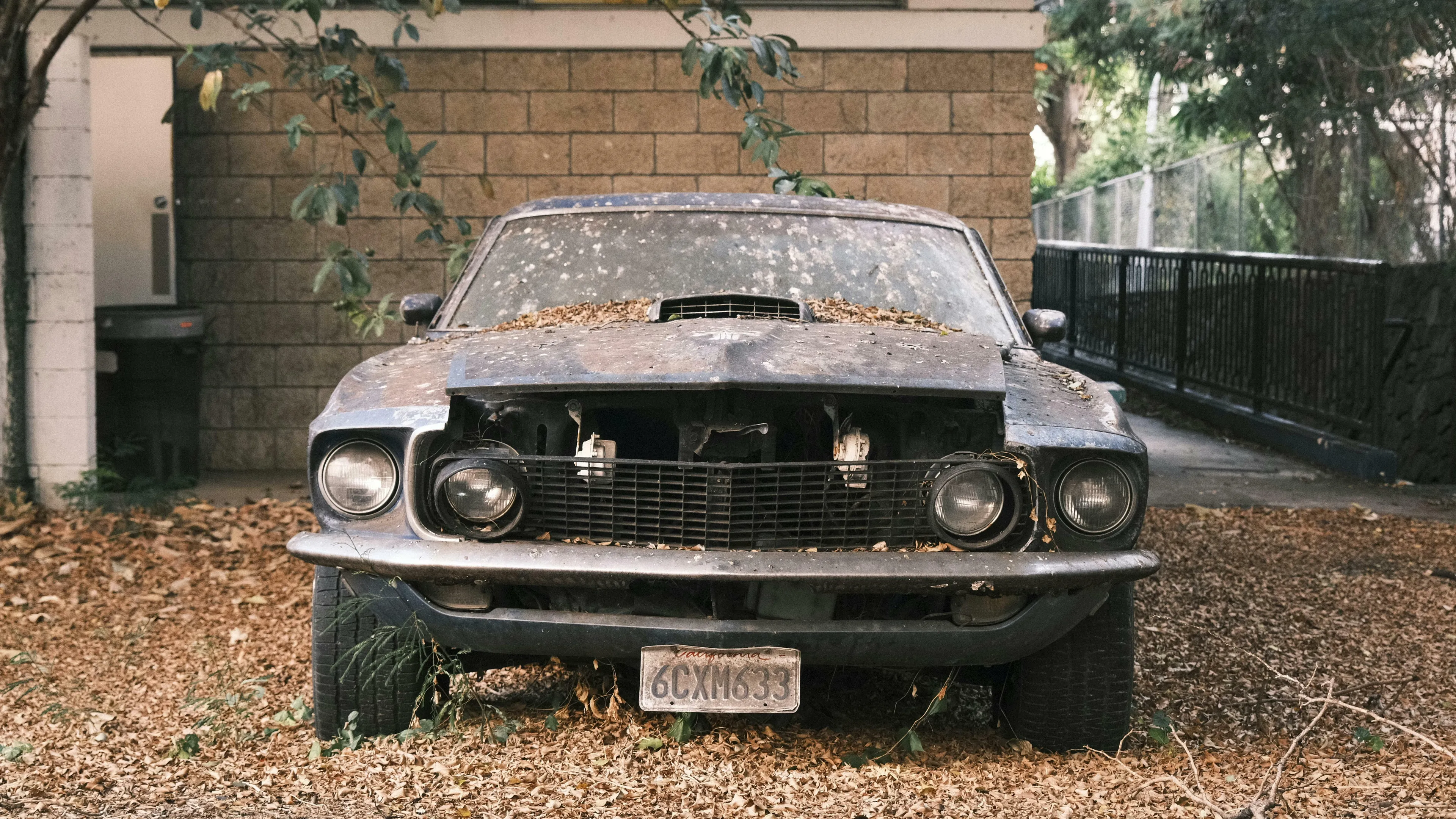 Old broken car covered with leaves parked outside, representing a first car for your teen and parenting style decisions.