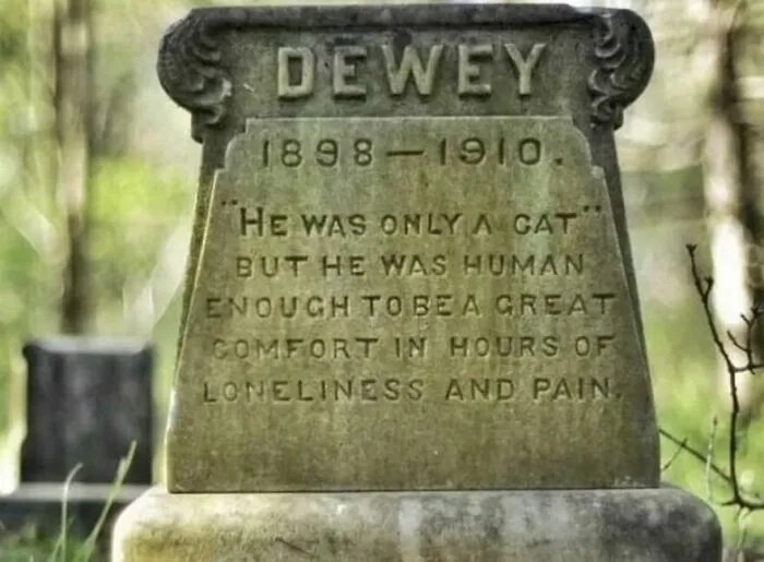 115 Fascinating Photos That Might Teach You About History In A Way School Can’t (New Pics)