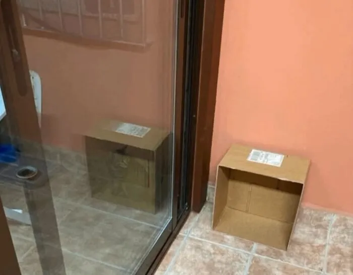 Schrodinger's Cat