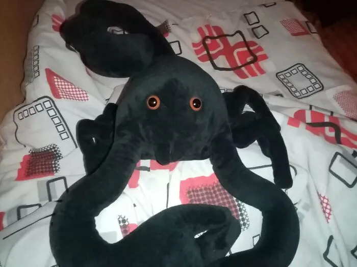 Bought This "Scorpion" Plushie On Temu During Their Halloween Sale... Whatis This Creature???
