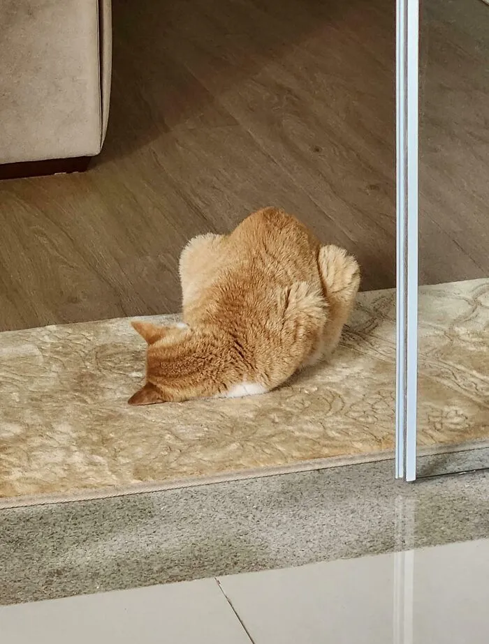 Is This Normal? He Never Slept Like This
