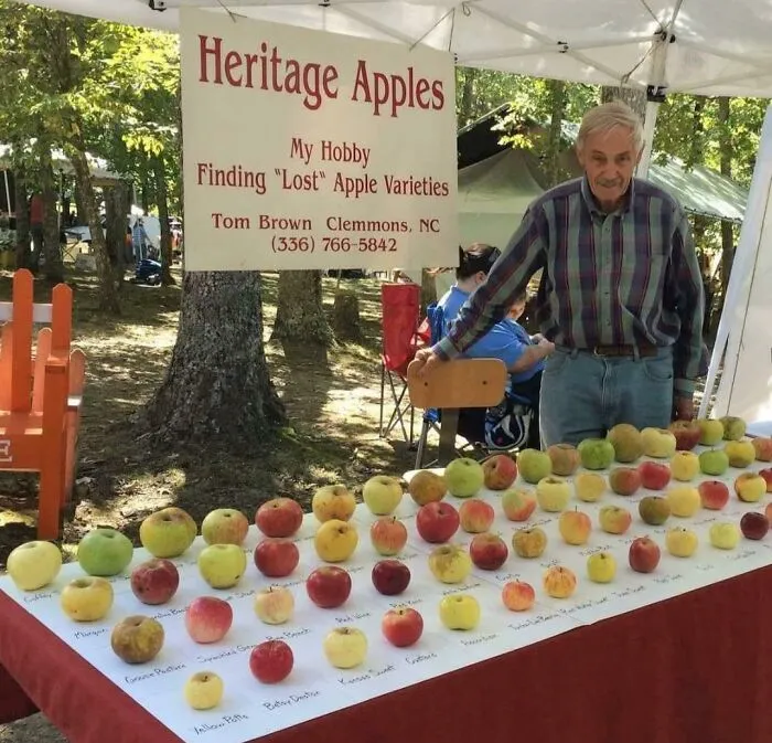 Tom Brown, ingeniero jubilado, ha salvado de la extinción a unas 1200 variedades de manzanas en 25 años.