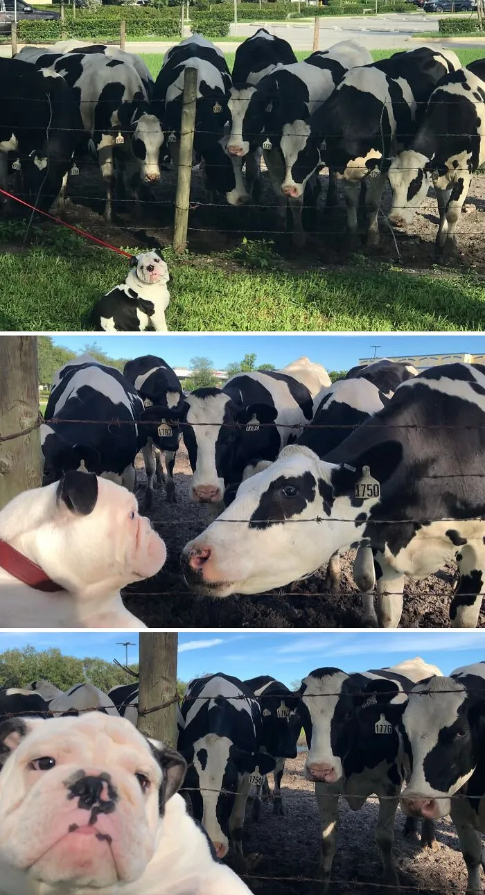 Today I Met My Family