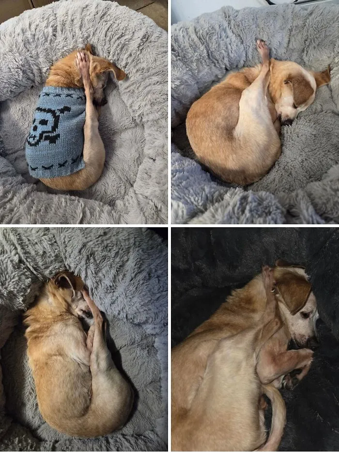 Walter And His Weird Poses