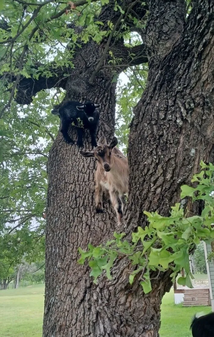 Squirrels Got Nothing On Us