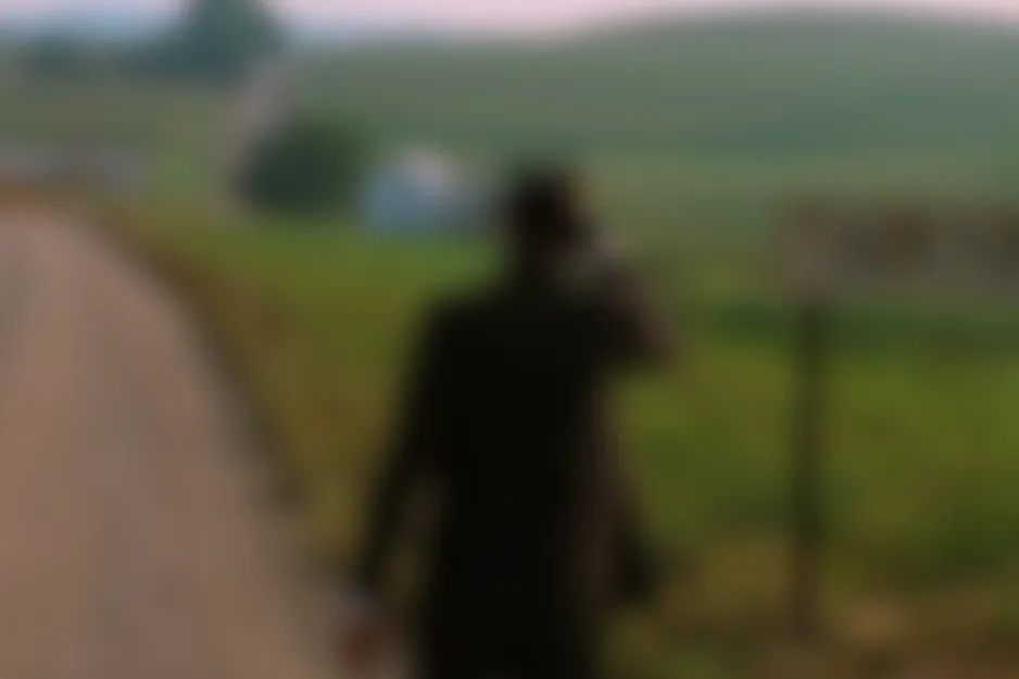 Blurred scene: A dark silhouette on a path next to green fields under a hazy sky.