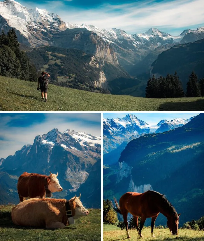 Spent A Week In The Jungfrau And Bernese Oberland Region, Switzerland