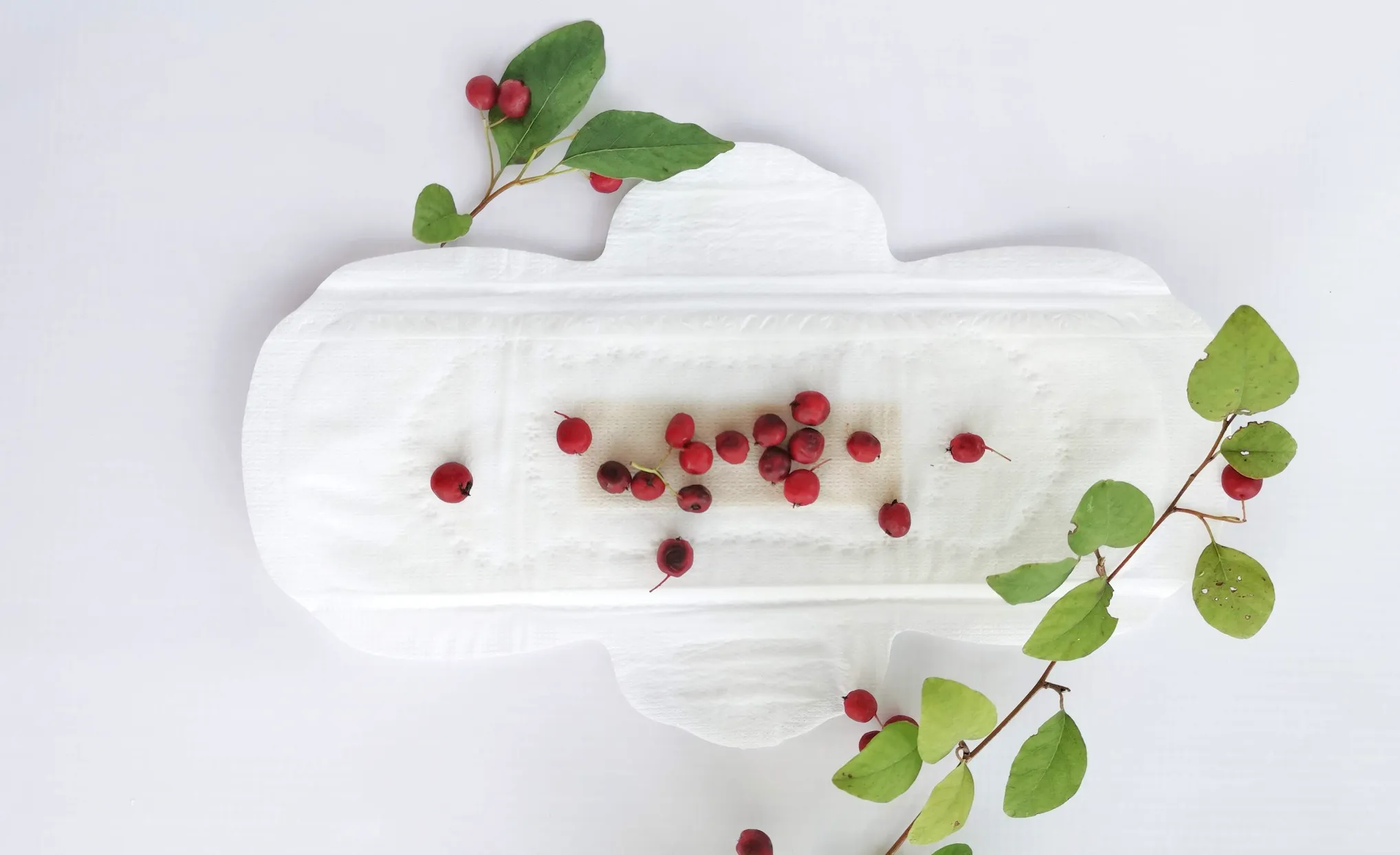 White sanitary pad with red berries & leaves on white, symbolizing the first period & human body biology.