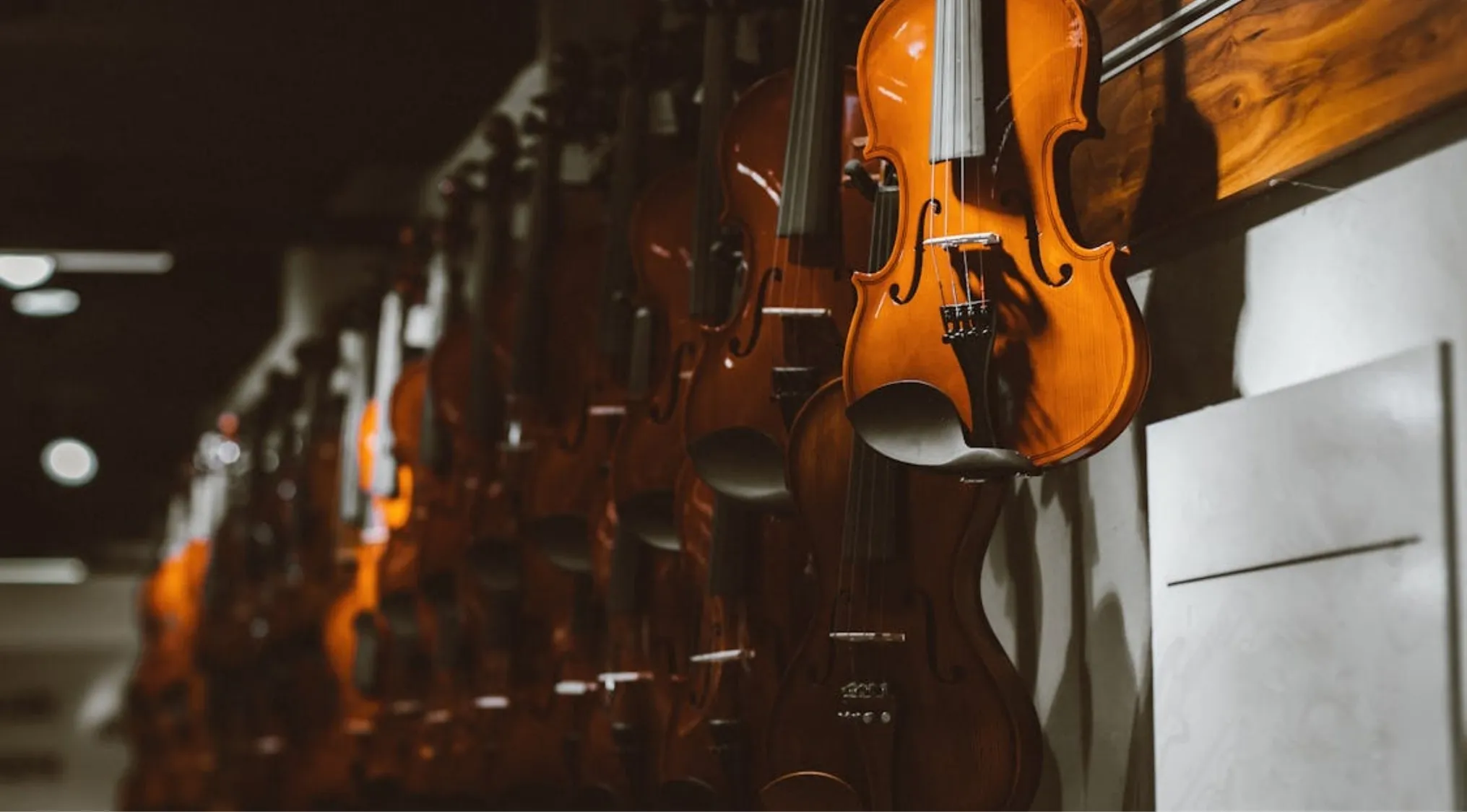 A close-up of several violins hanging in a row, showcasing their wooden bodies and the details of their violin strings.