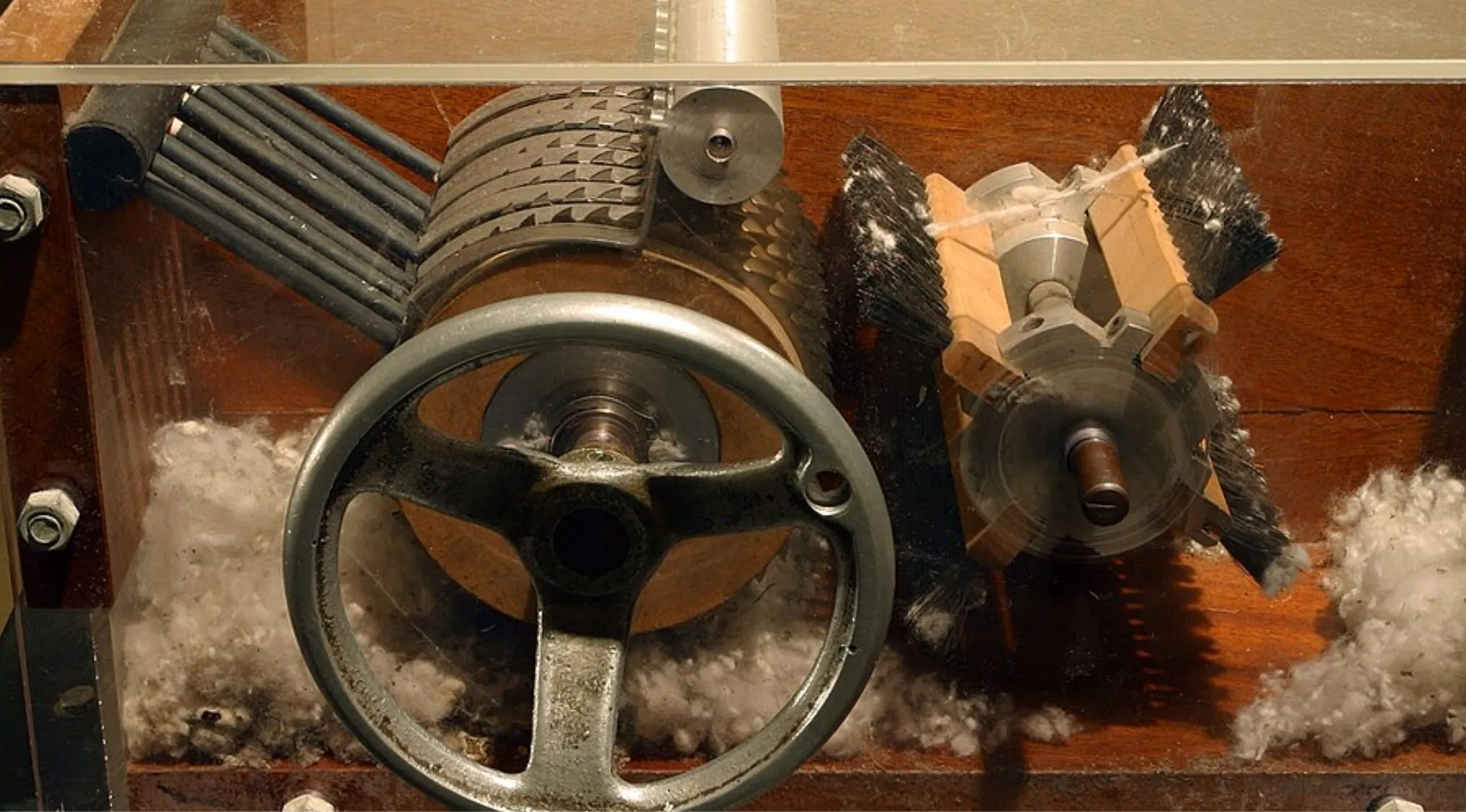 Close-up of a cotton gin's internal mechanisms, showing serrated disks, brushes, and raw cotton being processed.