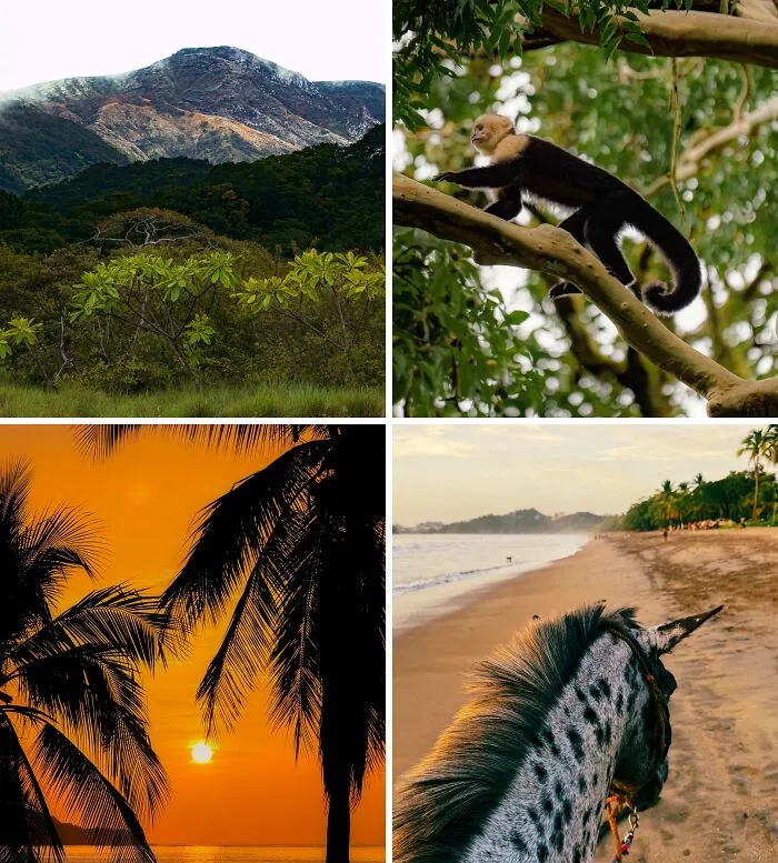 A Little Slice Of Pura Vida, Costa Rica