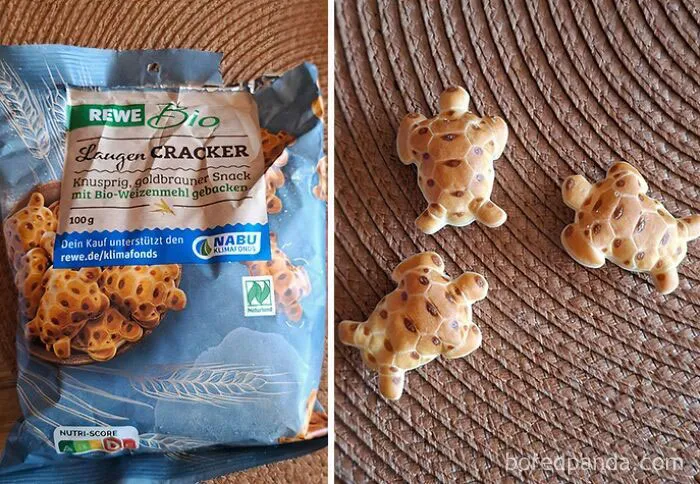 Galletas en forma de tortuga
