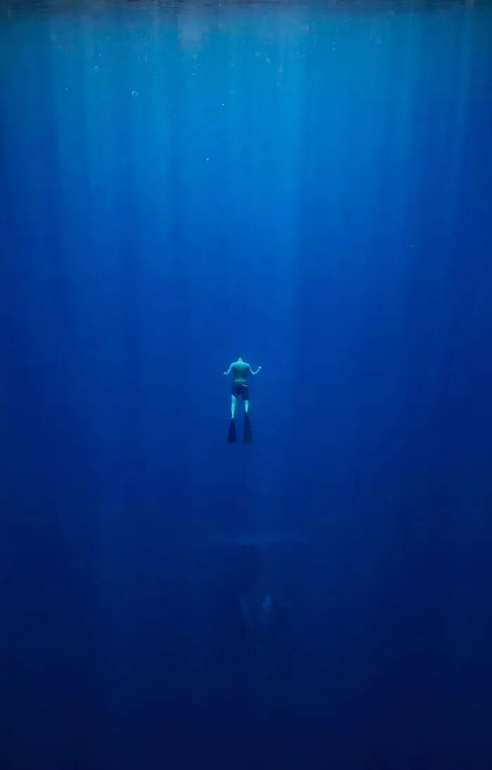 There Is Something Big Down There... I Can See Its Shadow