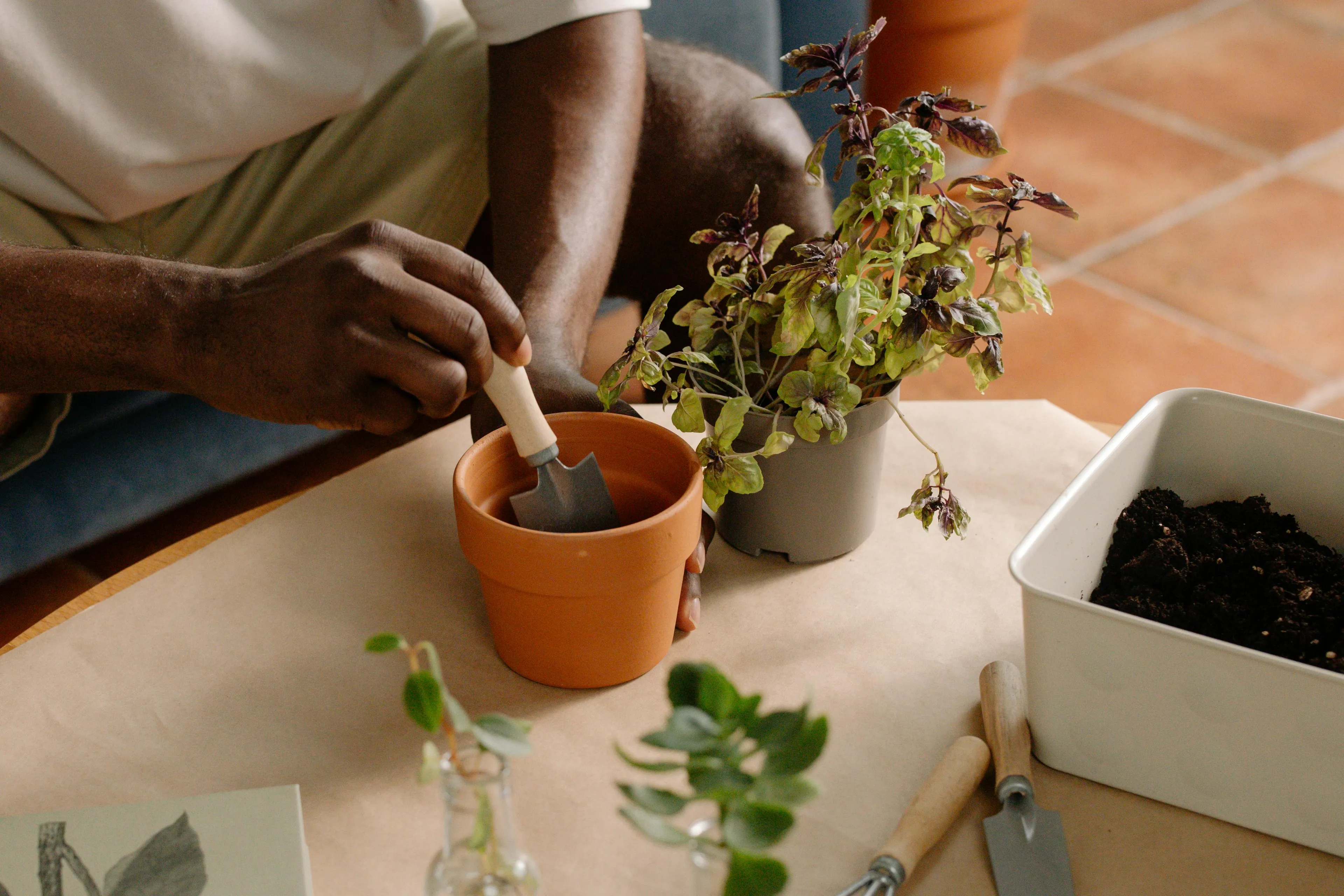 Person using a small gardening trowel to plant herbs in a terracotta pot as part of indoor gardening hobby.