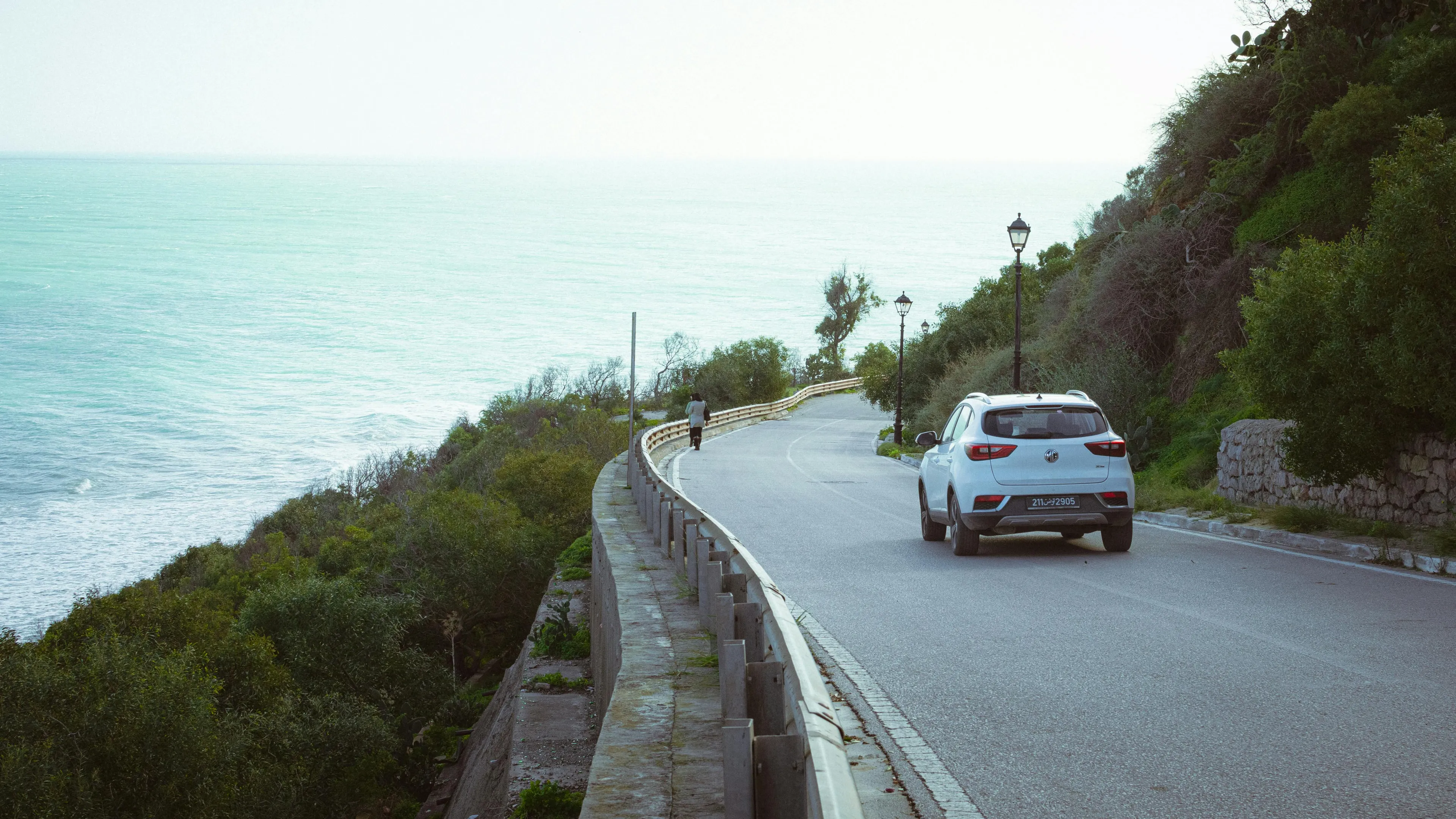 Car driving along a coastal road surrounded by greenery and ocean, reflecting left-brain or right-brain traits.