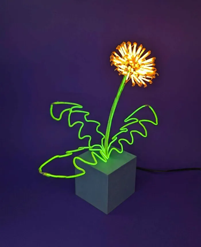 Neon Dandelion