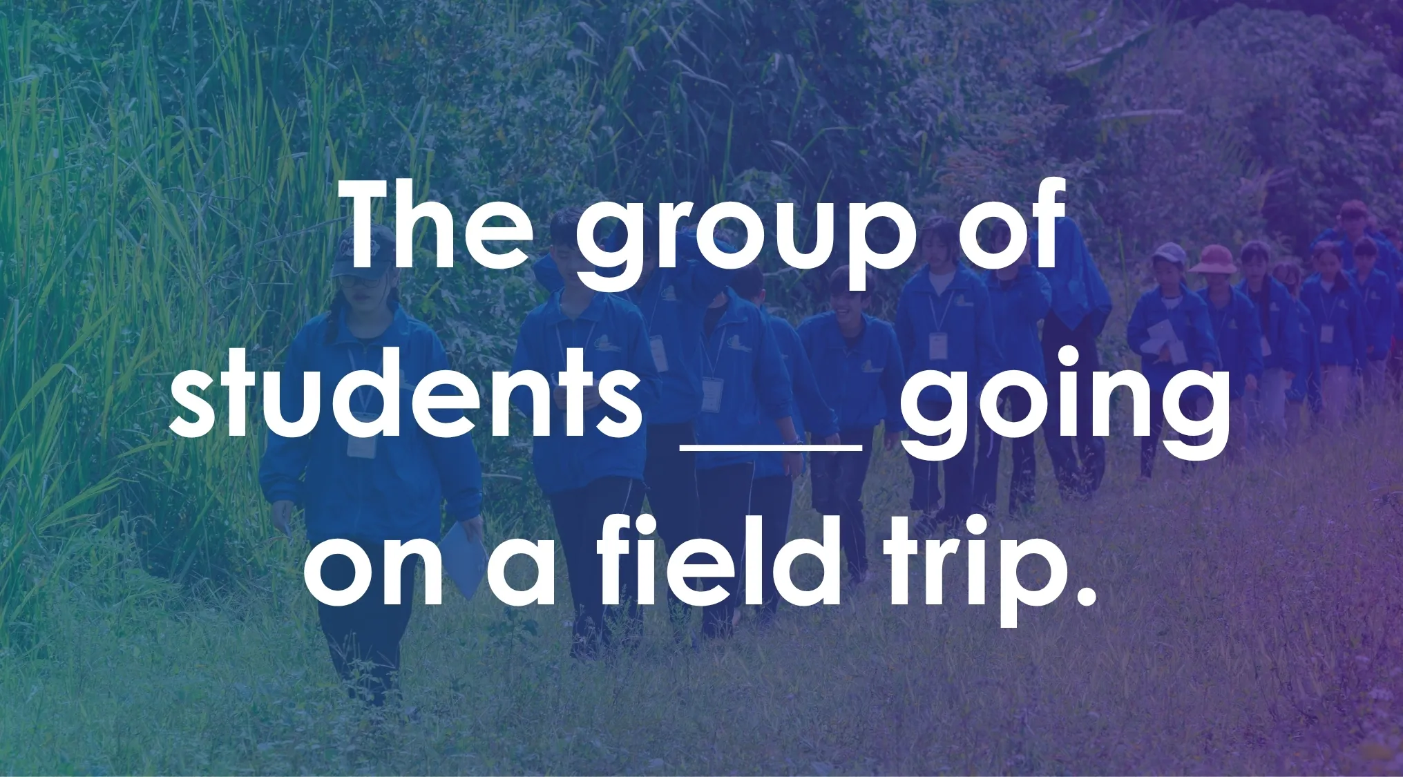Group of students walking outdoors on a field trip with a grammar fill in the blank question overlayed.