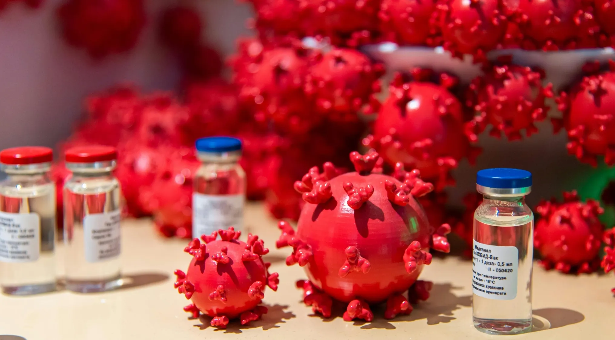 Close-up of virus models and vaccine vials illustrating biology school questions about what a virus cannot do alone.