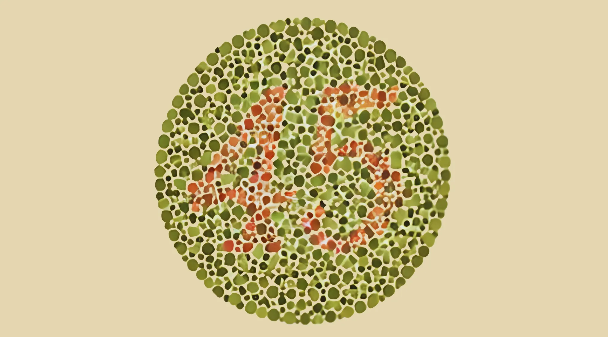 Color blindness test pattern with the number 45 hidden within green and red color dots.
