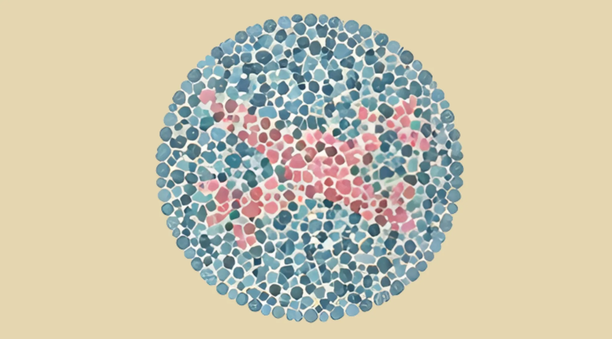 Ishihara color blindness test plate featuring an airplane hidden in colored dots pattern