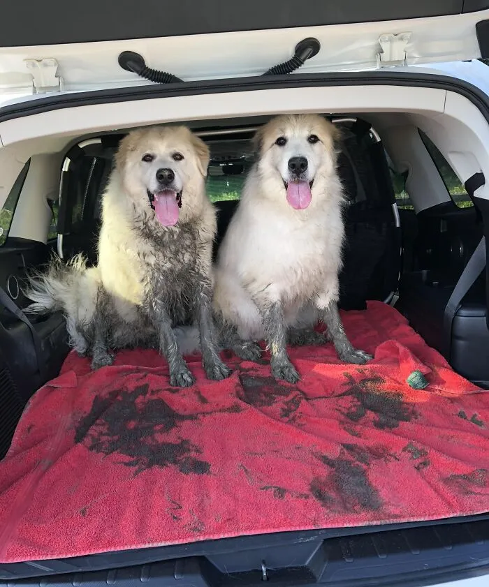 “Double Trouble” - They Found The Only Mud In 66 Acres