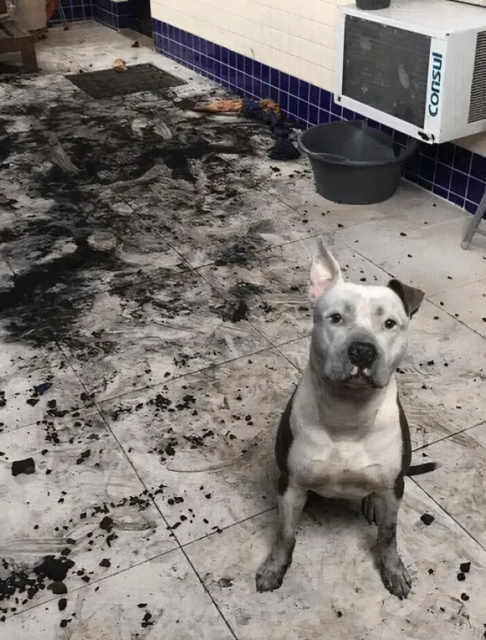 Unfortunately, We Don't Have Proof Of Who Did This Mess