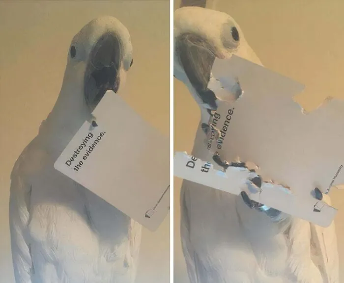 Criminal Mastermind