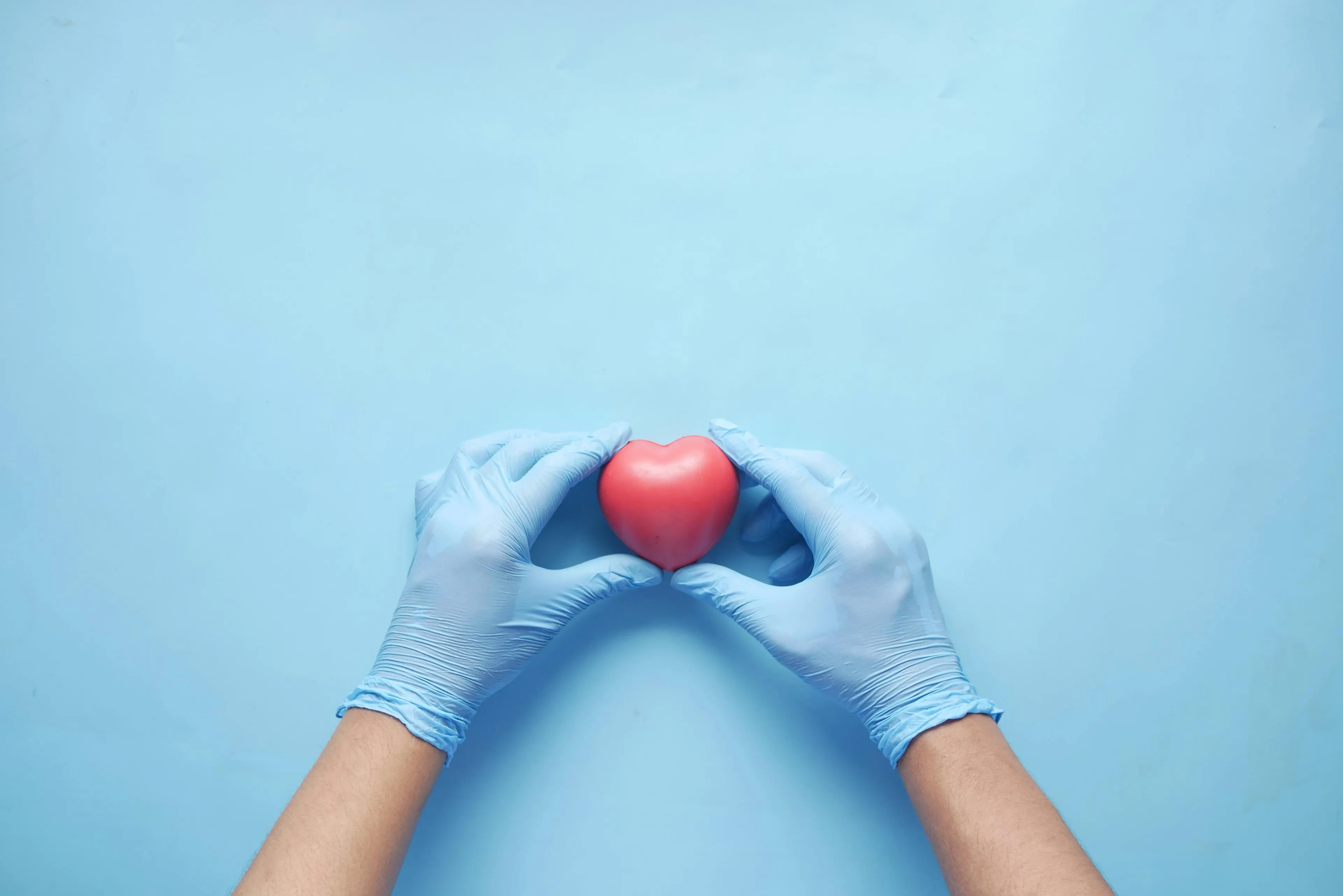 Hands wearing blue gloves holding a small red heart model representing the human heart in high school biology quiz.