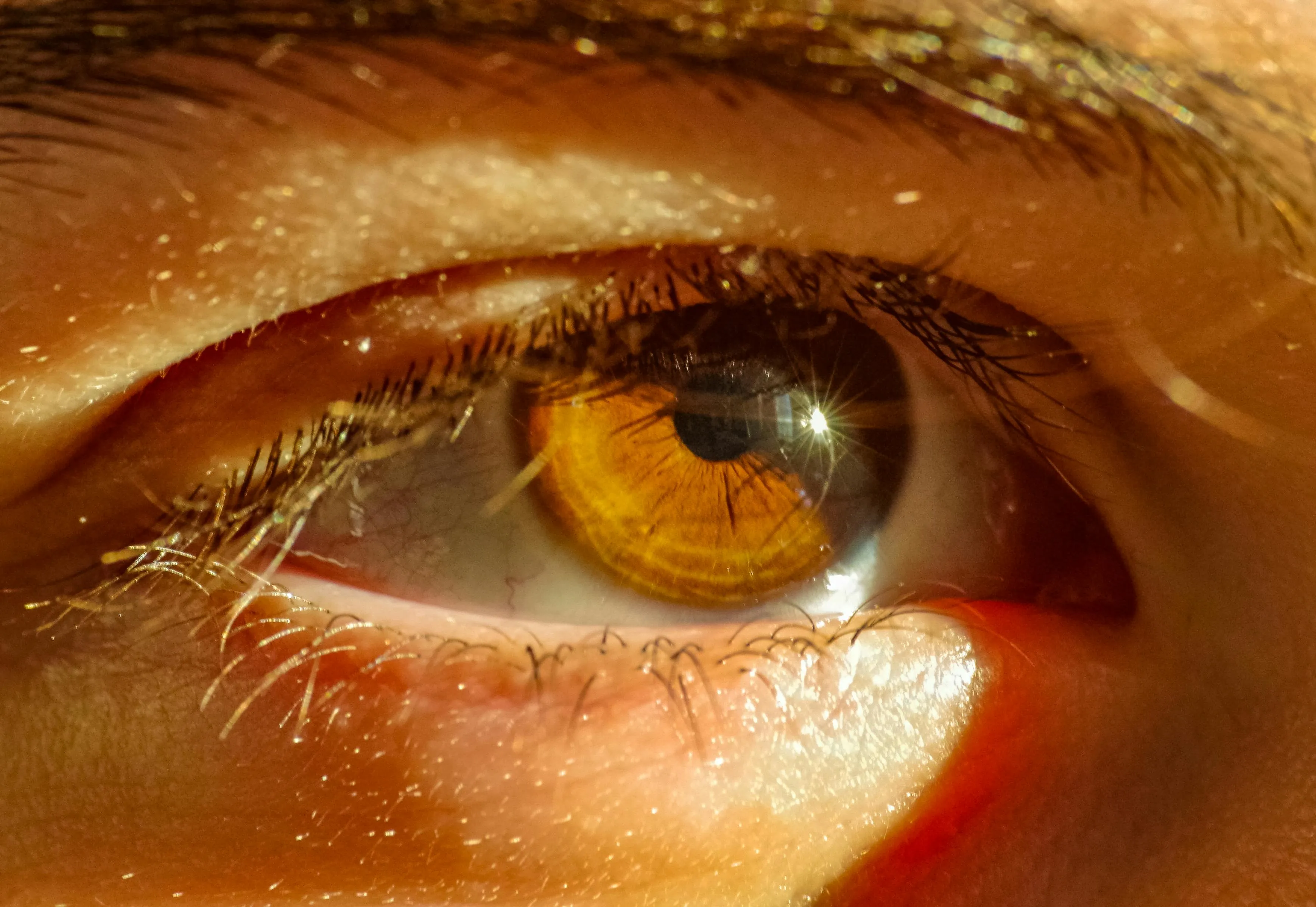 Close-up of human eye showing iris and pupil light reflection, illustrating how the amount of light in the eye is regulated.