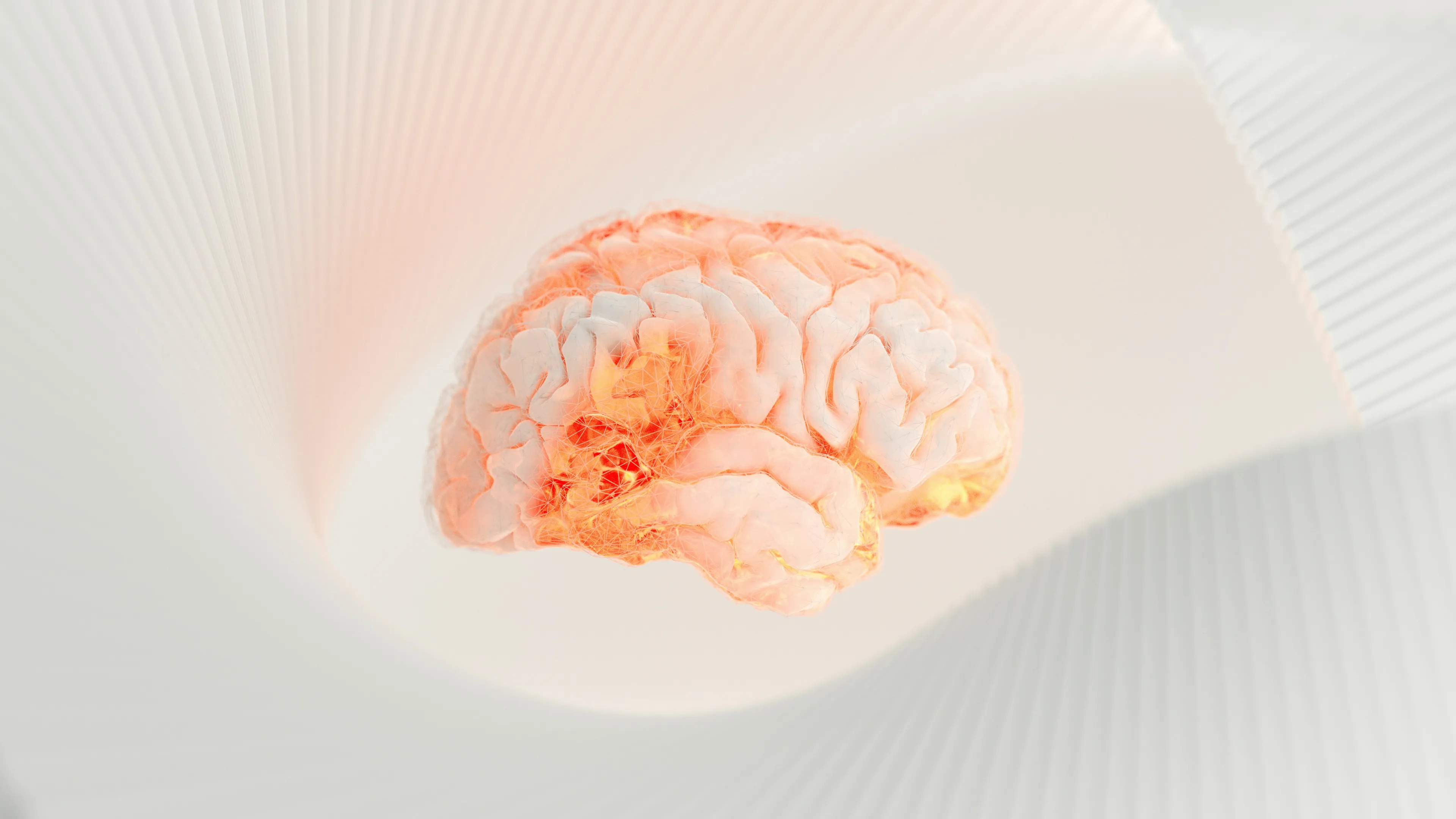 3D illustration of the human brain highlighting the part responsible for high-level thinking, logic, and personality.