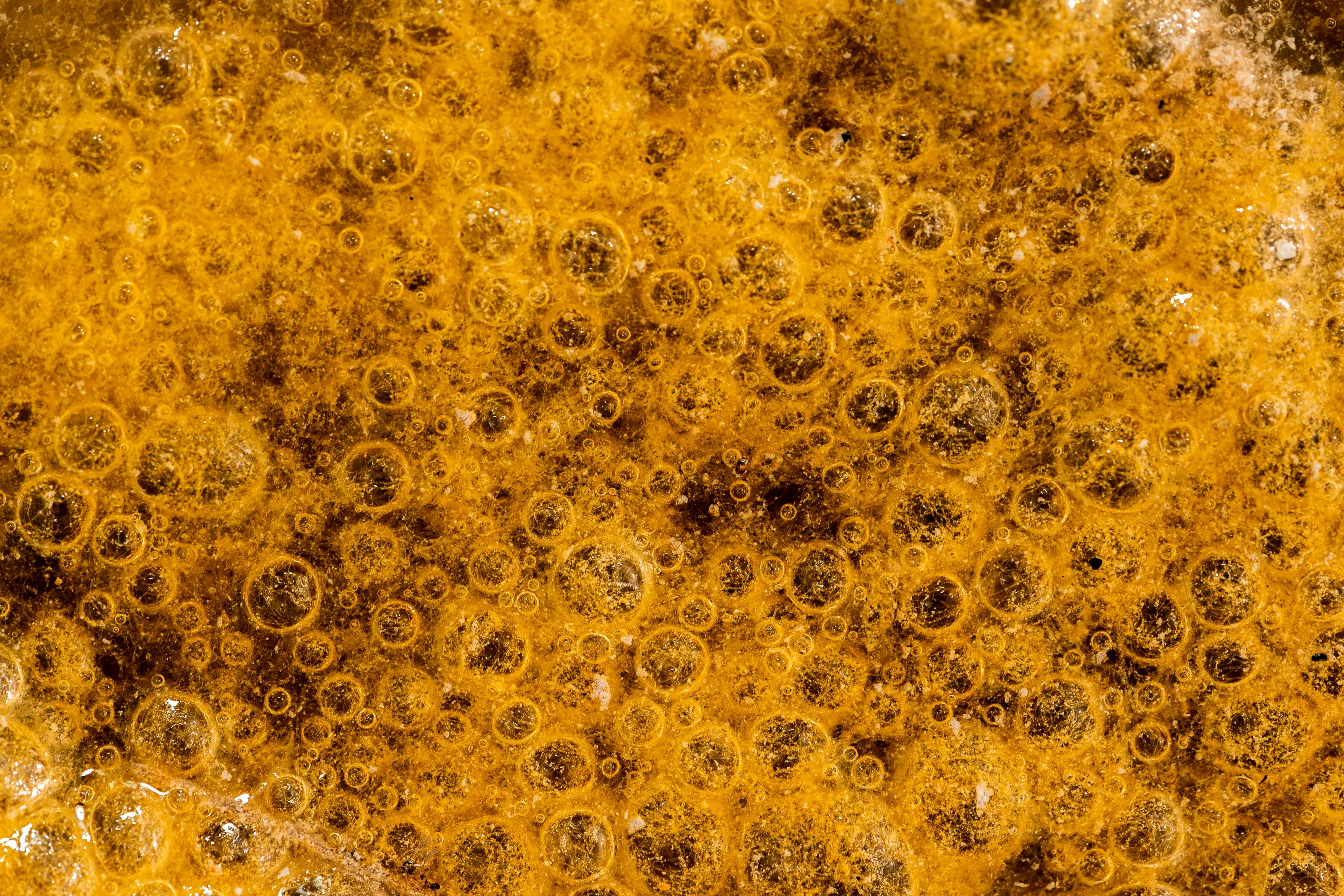 Close-up of bile with numerous bubbles illustrating the function of bile in the human body biology quiz.