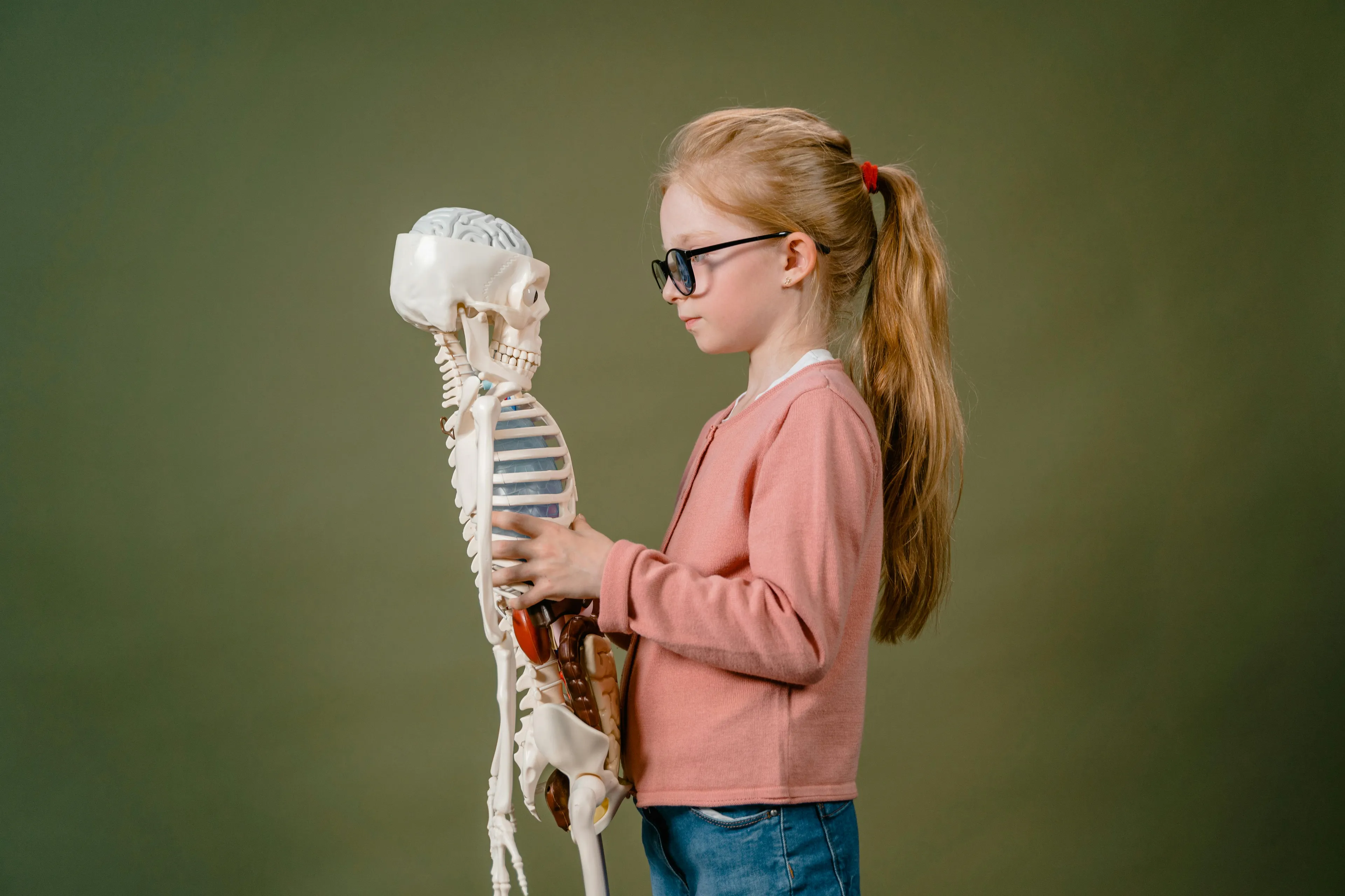 Young girl in glasses studying a human skeleton model, learning about minerals essential for strong bones and teeth.