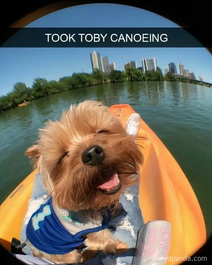 53 Wholesome Internet Finds That Might Just Lift Your Mood