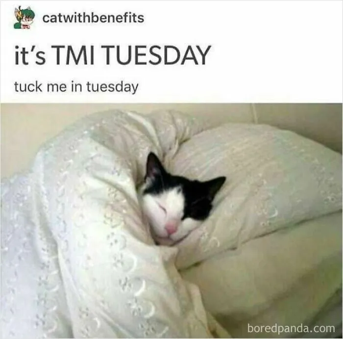 53 Wholesome Internet Finds That Might Just Lift Your Mood