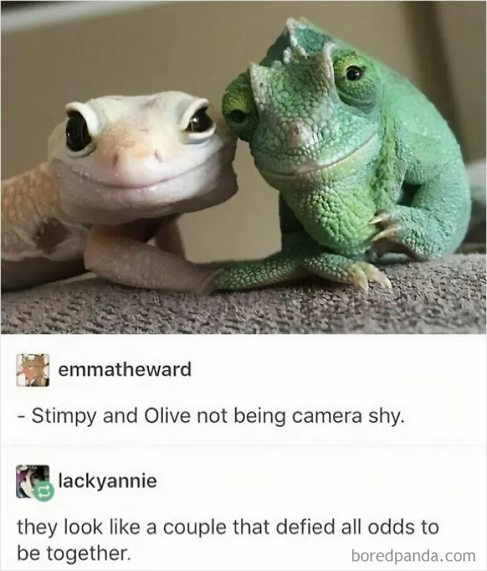 53 Wholesome Internet Finds That Might Just Lift Your Mood