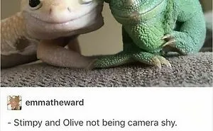 53 Wholesome Internet Finds That Might Just Lift Your Mood