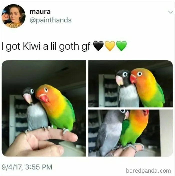 53 Wholesome Internet Finds That Might Just Lift Your Mood