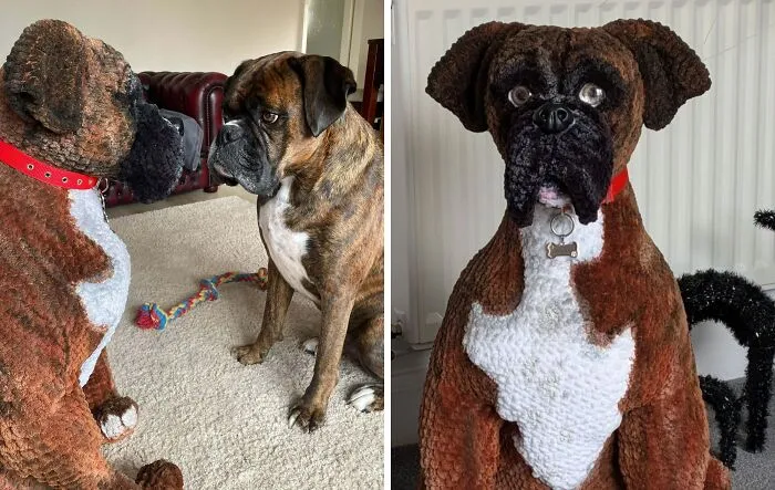 Tejí a crochet esta réplica de tamaño natural de un perro bóxer para la prometida de mi hermano, para que se la regalara a su prima segunda por su cumpleaños.