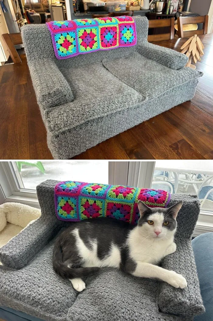 Con perseverancia hice un sofá para mi gato
