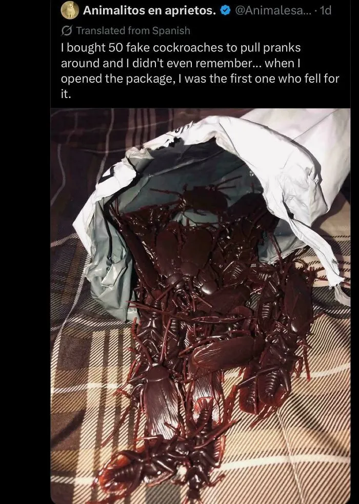 55 Pranks That Are So Clever, You Can’t Even Be Mad At The Person Who Pulled Them