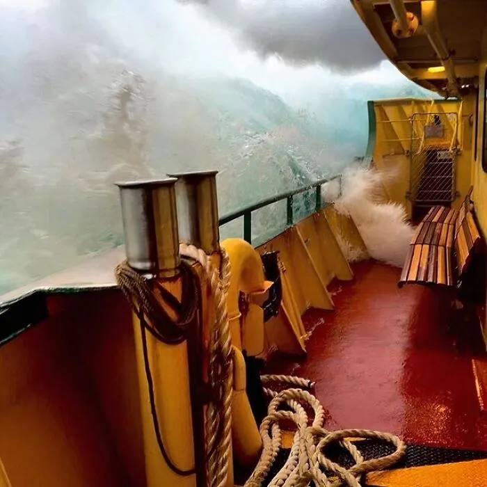 Manly Ferry This Morning