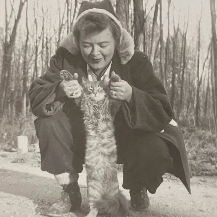 100 Fascinating Historical Photos That Might Change Your Perspective On Cats, As Shared By This Page (New Pics)