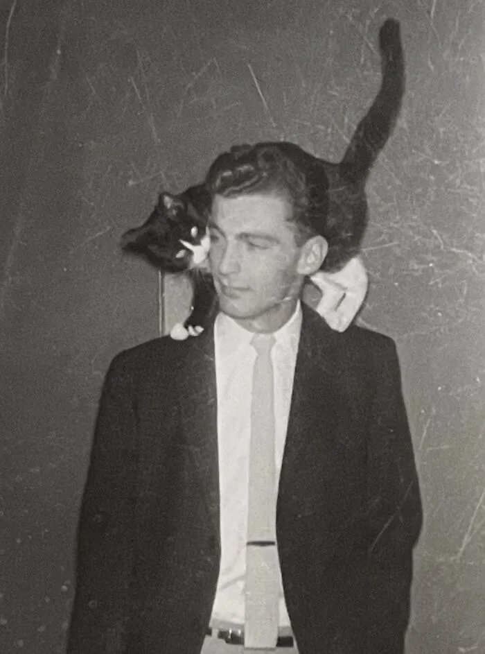 100 Fascinating Historical Photos That Might Change Your Perspective On Cats, As Shared By This Page (New Pics)