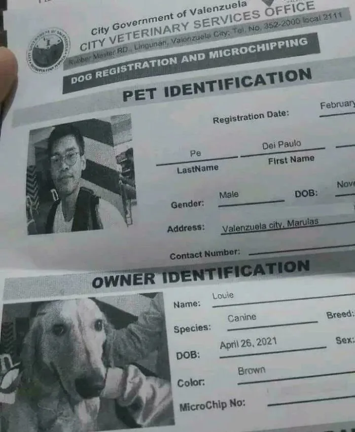 I Lost My Human Sir