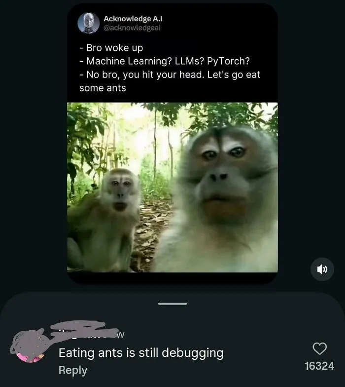 Cantrunfromdebugging