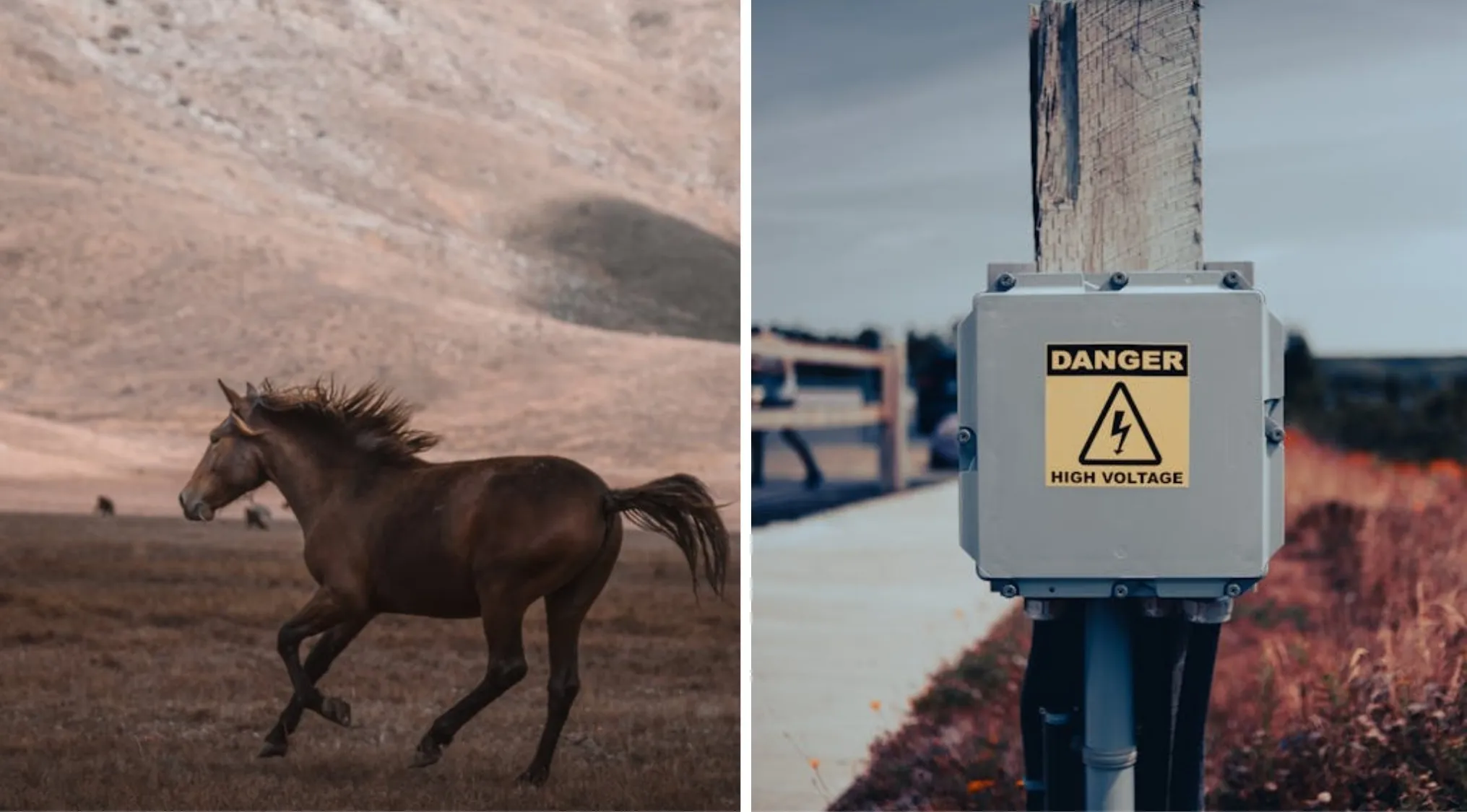 Guess The Word! A horse gallops in a field, next to a high voltage box. What's the hidden word?