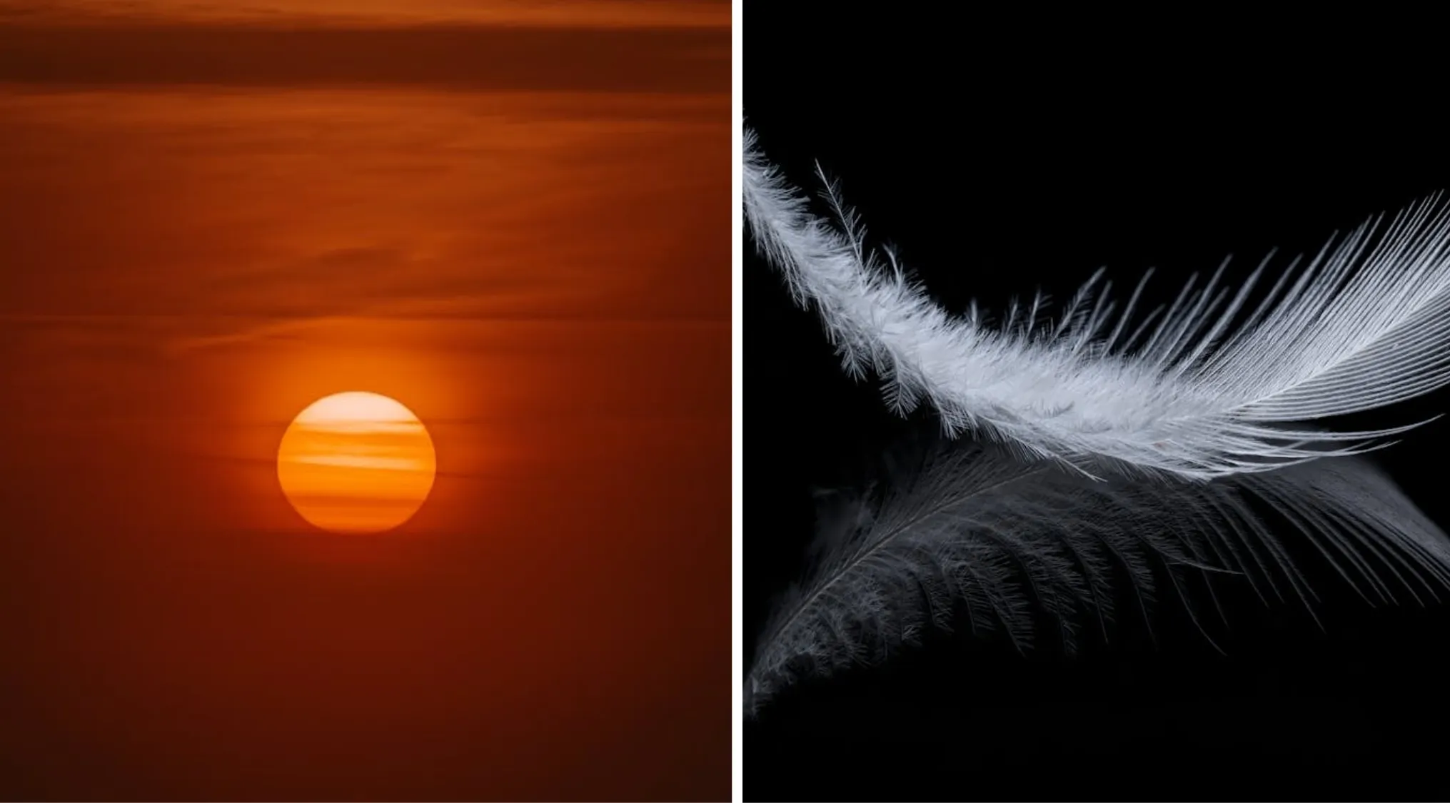 Guess The Word from 2 Images: A golden sun setting in an orange sky, juxtaposed with a white feather on a black background.