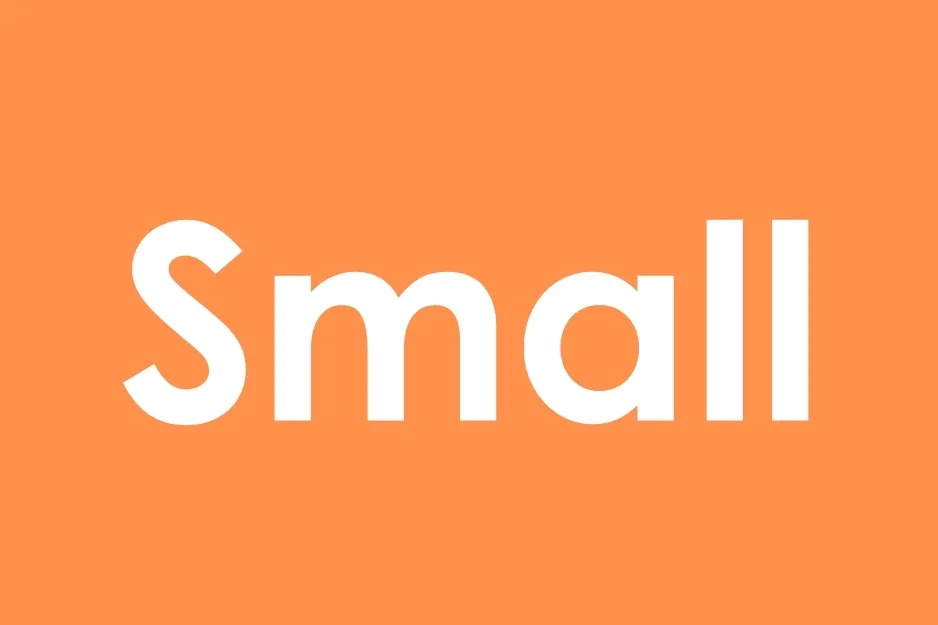 The word SMALL in white, bold letters against an orange background. Complete the analogy.